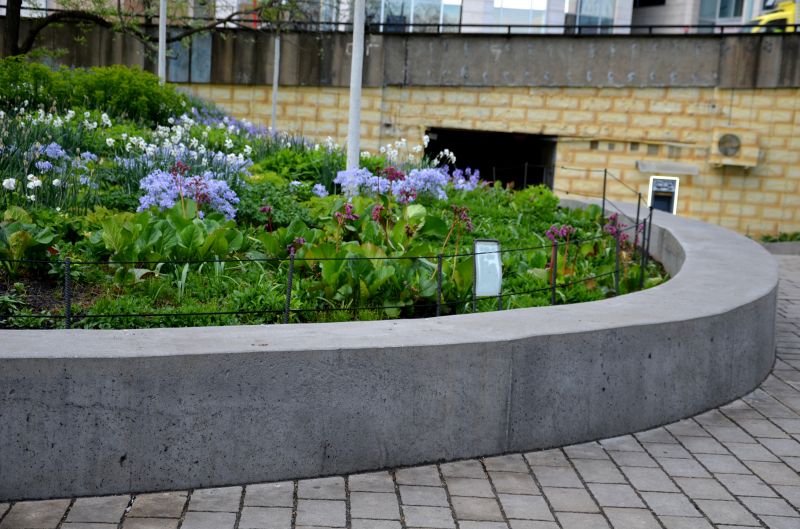 Edging Services Cost Guide — Cost of Edging Services