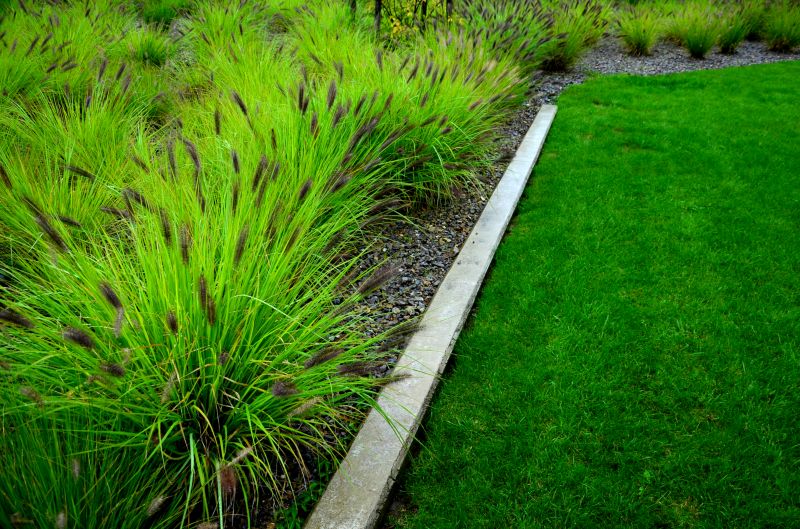 Professional edging enhances landscape appearance